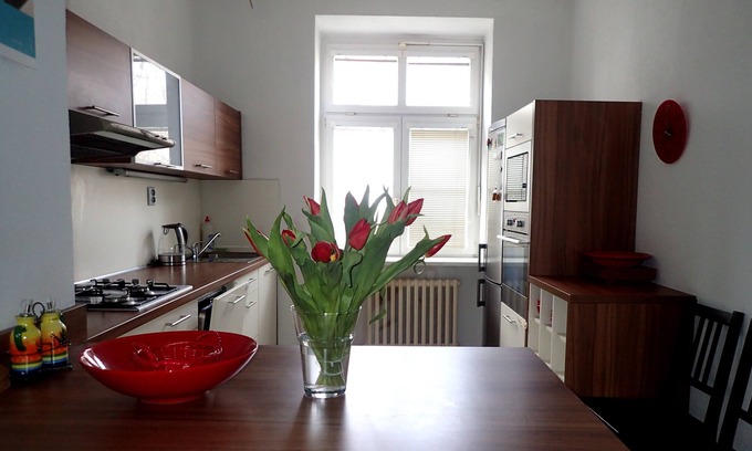 Nove Mesto Appartement | Spacious apartment near the center