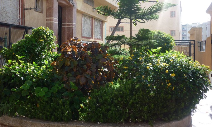 El Jadida Appartement | Appartement Spacieux - 84m2- 200m de l'Océan à Eljadida Maroc