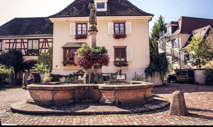 Ammerschwihr Appartement | Spacieux gîte jusqu’à 12 personnes