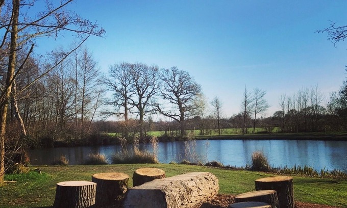 Lydney Appartement | Eco spacieux, chalet acceptant les animaux, forêt de Dean, Wye Valley