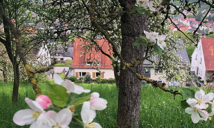 Dalhausen Maison | Spacious family accommodation for group 10p, beautiful view, pet friendly!