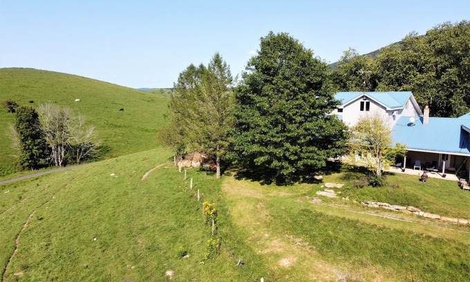 Simmonsville Maison | Spacious Farm with Mountain Views 30min to Bburg