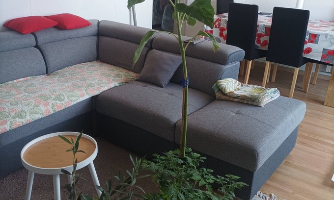 Clos des Roses Appartement | Spacious, fully-equipped apartment 5 minutes from the center and château of Compiègne