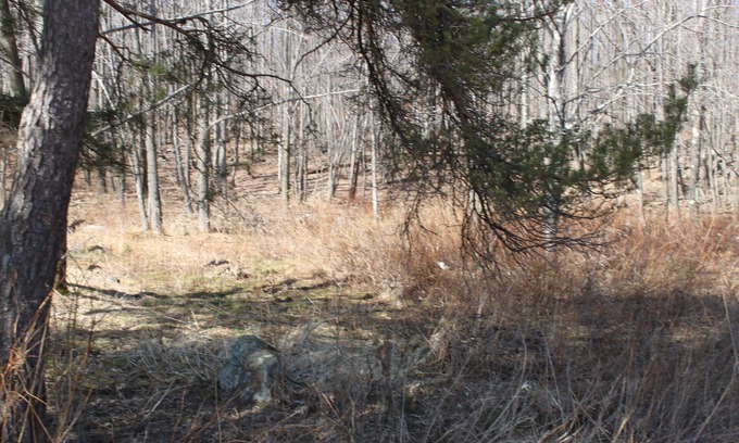 Lakewood Maison | Spacious PA family home,near ski resort,fly fishing,snowmobile trail, sleeps 12+