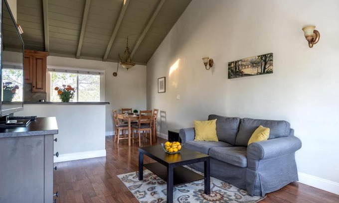 Shoreline West Appartement | Spacious, Soaring Ceilings, Near Downtown MV, GOOG