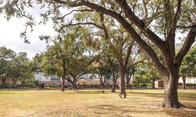 Barker Hôtel | Spark by Hilton Houston West Clay Road