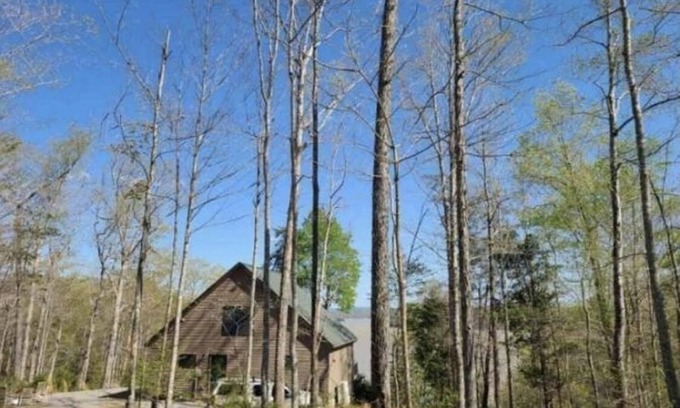 Nancy Maison | Spectacular cabin on Lake Cumberland