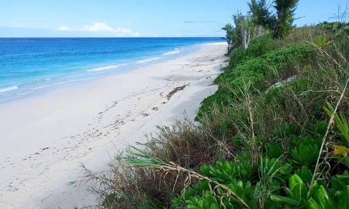 Great Guana Cay Copropriété | Spectacular Direct Beachfront Condo awaits your arrival!