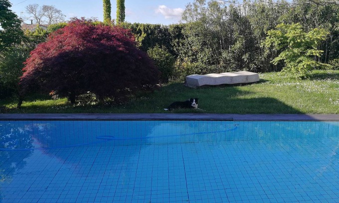 Mondariz-Balneario Maison | House