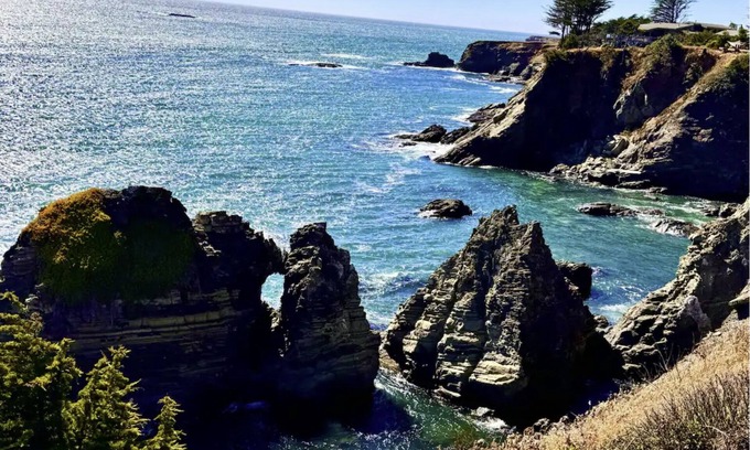 Gualala Maison | Spectacular Oceanfront, massive fenced yard, with Spa Mendocino Coast in Gualala