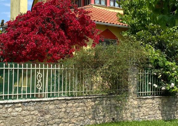 Rododafni Appartement | Spiti Eutychia