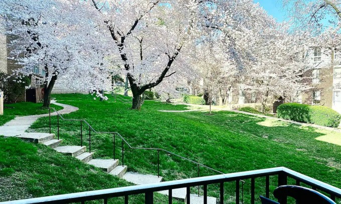 Aspen Hill Copropriété | Splendid 2bed 2bath condo in Silver Spring with free Parking laundry and AC WiFi