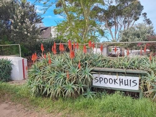 Napier Appartement | Spookhuis