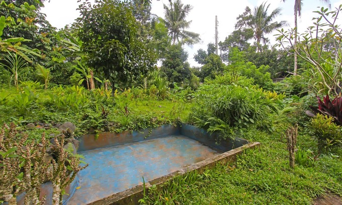 Selong Belanak Hôtel | SPOT ON 92567 Jati Homestay Near Taman Suranadi
