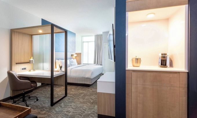 Maple Grove Hôtel | SpringHill Suites by Marriott Minneapolis Maple Grove/Arbor Lakes