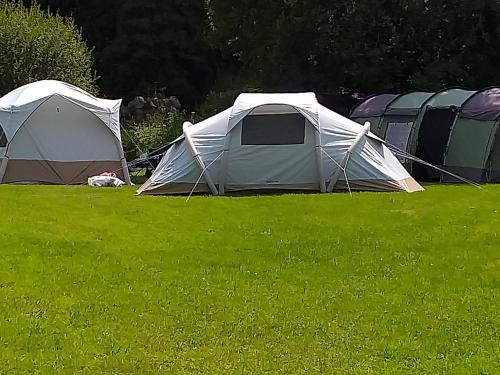 Glynn Autre | St Mullins Natural Camping