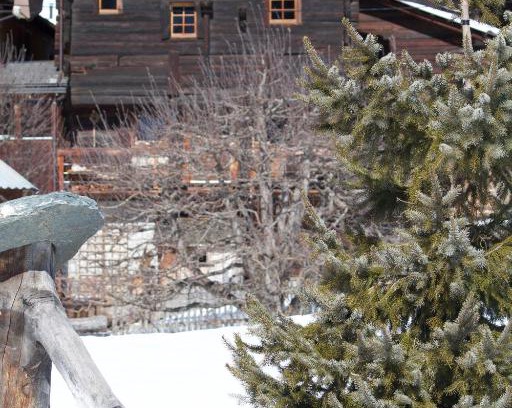 Niederwald Chalet De Ski | Stadel Ritz