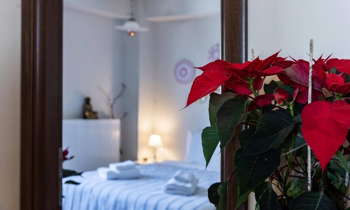 Volos Maison | Stagiates Guest House Room 1