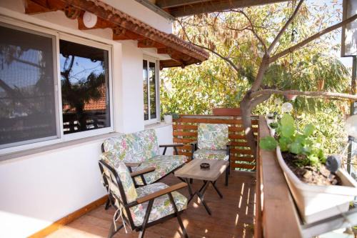 Majdal al-Shams Maison | Star Suite - Rural experience - Northeast point