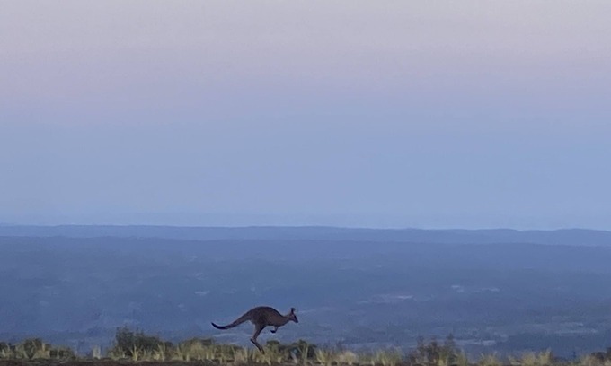 Sassafras Cabine | Stay on the escarpment, rural retreat, forest bathe, stargaze, amazing views
