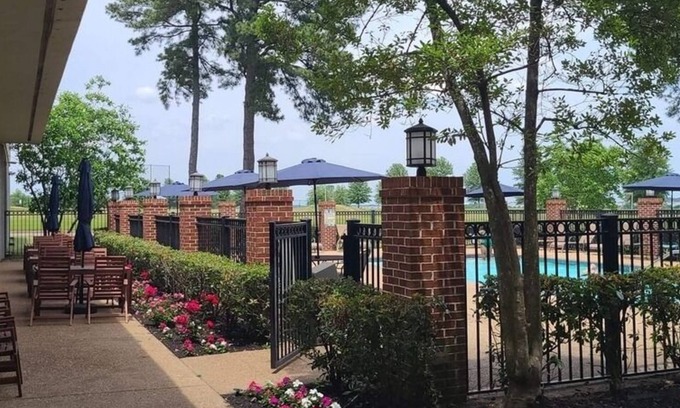 Olive Branch Maison | Stay with us for a warm southern hospitality. Free homecooked buffet Breakfast.