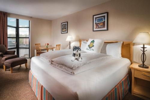 University District Hôtel | Staypineapple, University Inn, University District Seattle