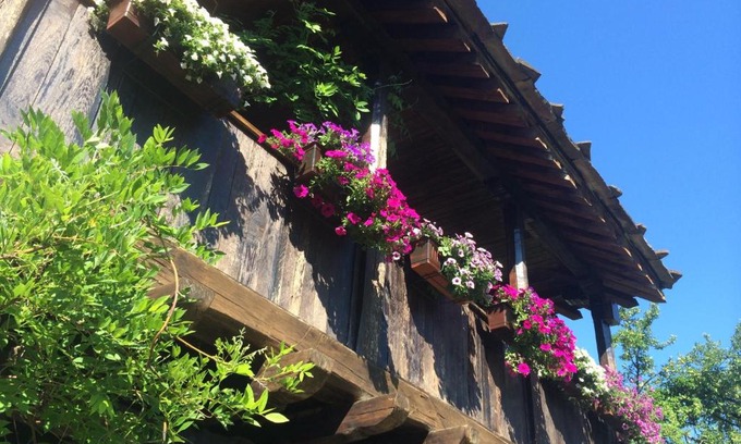 Bojentsi Maison | Stefanina Guesthouse