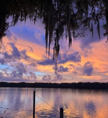 Satsuma Autre | Stegbone's Fish Camp and Resort