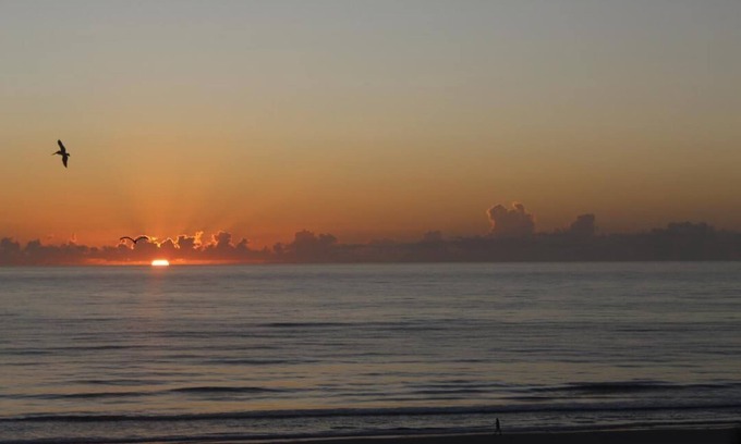 Daytona Beach Shores Appartement | Étapes menant à une magnifique plage Vues magnifiques sur l'océan