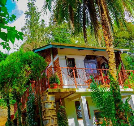 Lushoto Maison | Steven and Dayness homestay