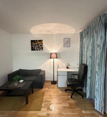 Schaffhausen Appartement | Stilvolle 2-Zimmer-Wohnung in zentraler Lage