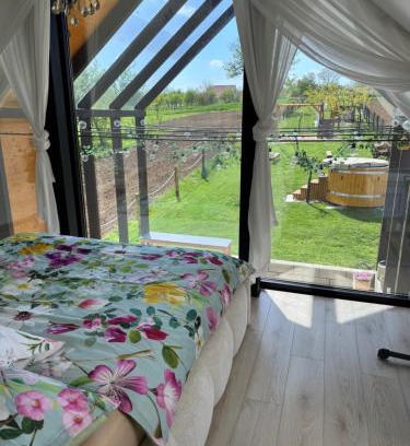 Dolni Bojanovice Maison | STODOLA U Františka