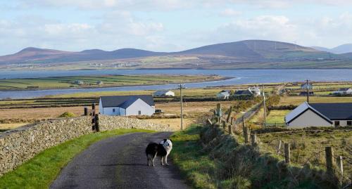 Belmullet Appartement | Stripe Bay