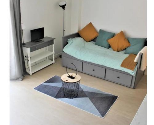 Anatole France Danton Appartement | Studio 18