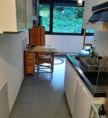 Torcy Appartement | Studio 19 m2 à louer au Mont-Dore