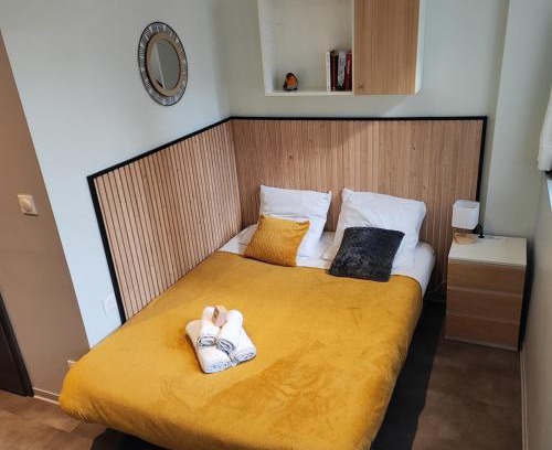 Vandoeuvre-les-Nancy Appartement | Studio 74 Rénové et Équipé - Nancy CHRU,CESI,FAC