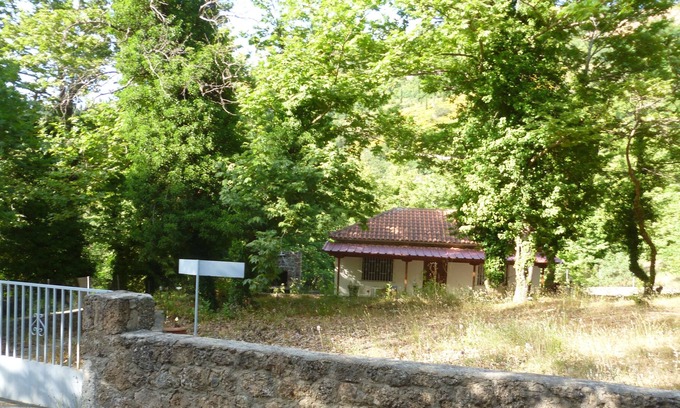 Seliana Maison | STUDIO ENTRE LES PLATES, LES OISEAUX ET LES EAUX DES RUES