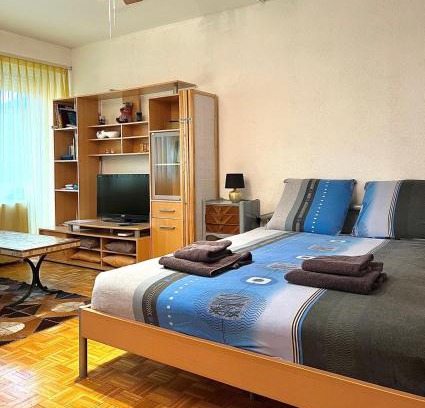 Monthey Appartement | Studio Anémones, meublé, équipé, Monthey