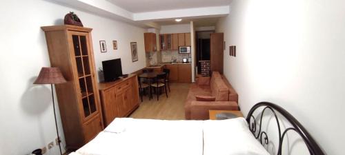Donovaly Appartement | Studio apartman Tatran A-29