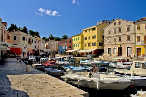 Gornje selo Appartement | Studio Apartment in Susak with Air Conditioning, Wi-Fi (3865-2)