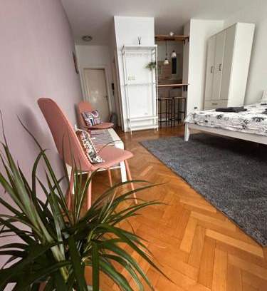 Grbavica Appartement | Studio Apartment Laganini