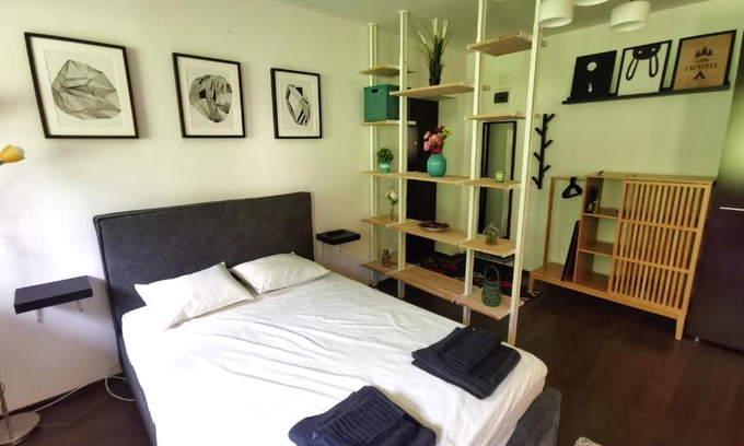 Azuga Appartement | Studio Azuga