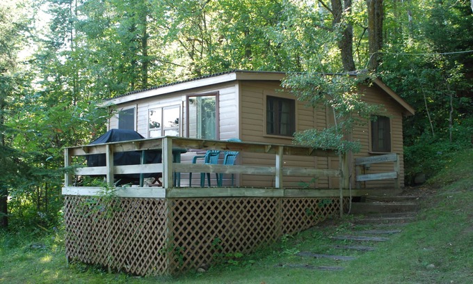 Nevis Cabine | Studio Studio caché dans les pins immenses à moins de 10 pieds du lac. Animaux acceptés!