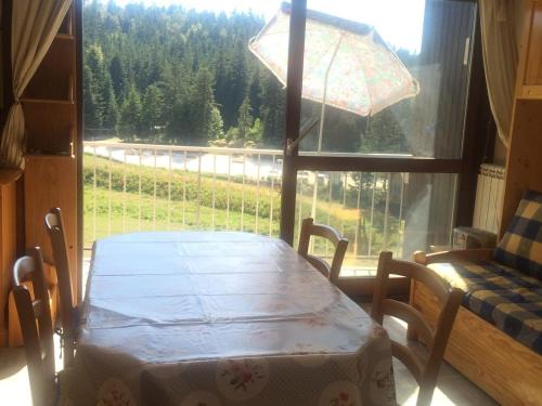 Correncon-en-Vercors Appartement | Studio Cabine 33m² – Pied des Pistes, Balcon Sud, Animaux Admis - FR-1-515-79