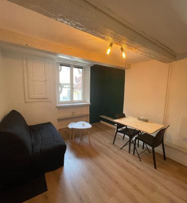 Besancon Old Town Appartement | Studio centre ville
