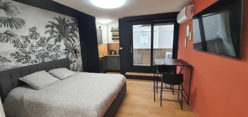 Clermont Ferrand City Centre Appartement | Studio climatisé Place de Jaude Garage balcon tv wifi