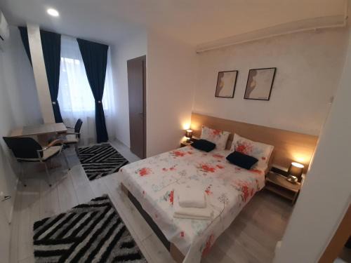 Emanoil Gojdu Appartement | Studio Elvetia