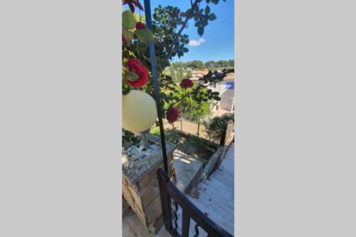 13th Arrondissement Appartement | studio entre vallée colline et soleil marseillais