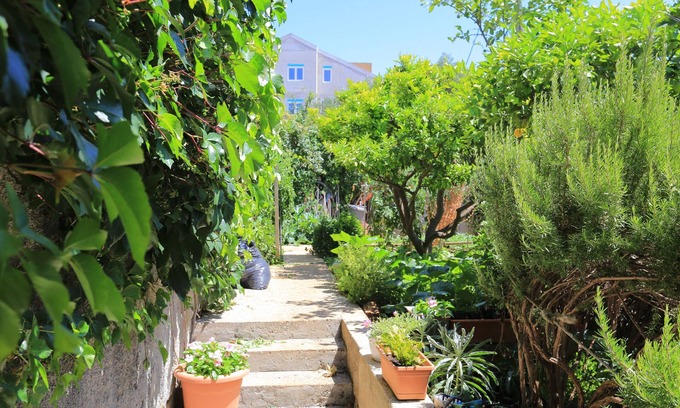 Blato Appartement | Garçonnière avec la terrasse Zivogosce - Blato, Makarska (AS-1057-a)