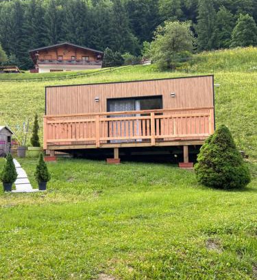 Abondance Appartement | Studio